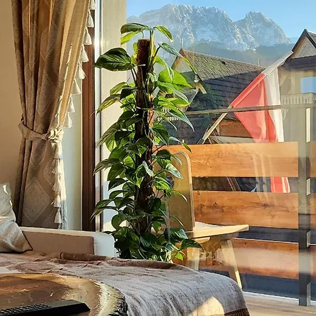 Rykowisko Zakopane