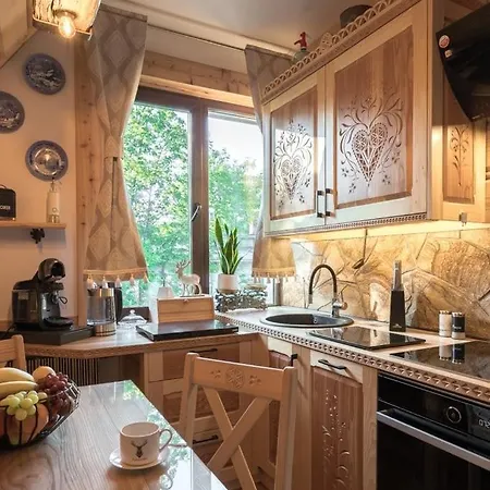 Διαμέρισμα Rykowisko Ζακοπάνε